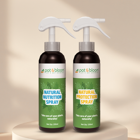 Nutrition and Protection Spray Combo 250ml