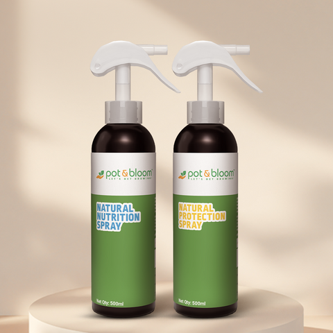 Nutrition and Protection Spray Combo 500ml