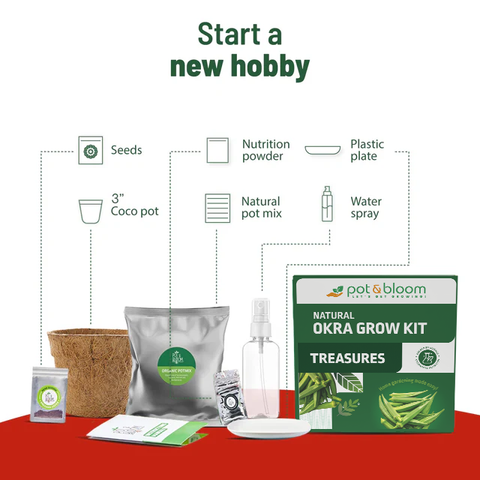 Treasures Okra Grow Kit