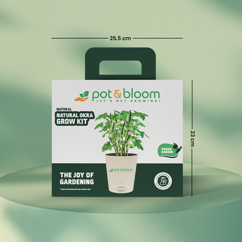 Okra Grow Kit  (medium)