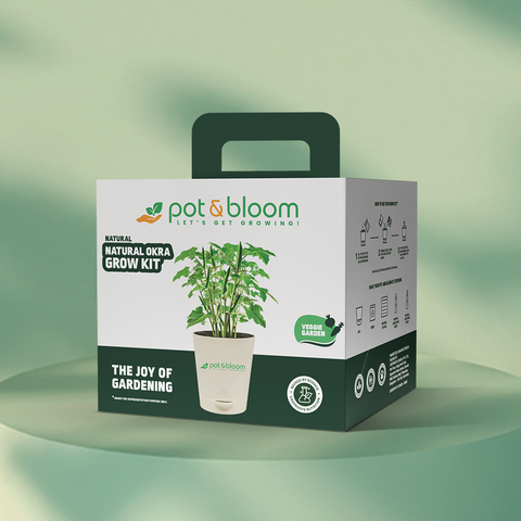 Okra Grow Kit  (medium)