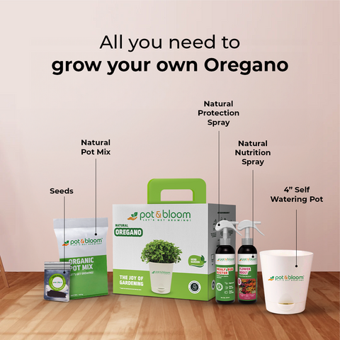 Oregano Kit