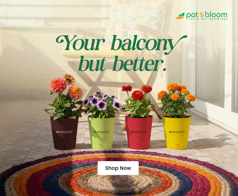 Turn your balcony into a garden