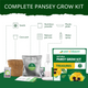 Treasures Pansy Grow Kit