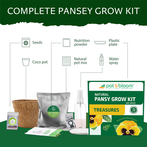 Treasures Pansy Grow Kit