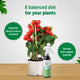 Micronutrient fertilizer spray: Nutrition spray | Pot & Bloom