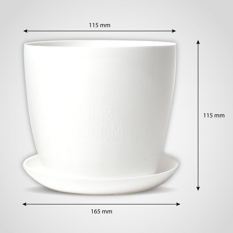 pot plates for plants Buy Pot and Plate Online at Best Price