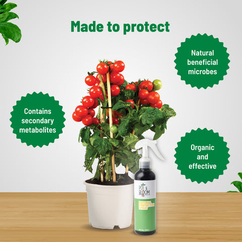 Pesticide for plants: Protection Spray | Pot & Bloom