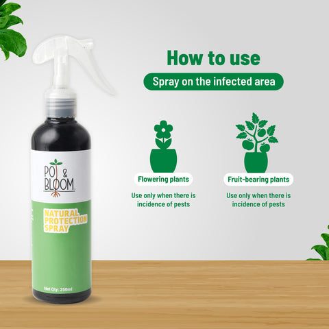 Pesticide for plants: Protection Spray | Pot & Bloom