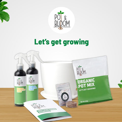 Pesticide for plants: Protection Spray | Pot & Bloom
