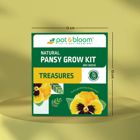 Treasures Pansy Grow Kit