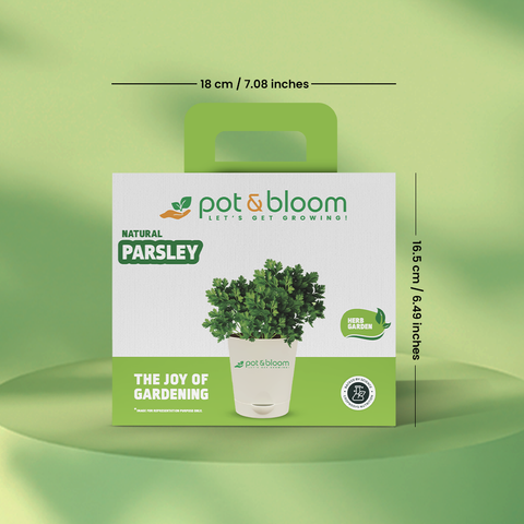 Parsley Grow Kit