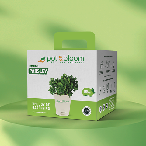 Parsley Grow Kit