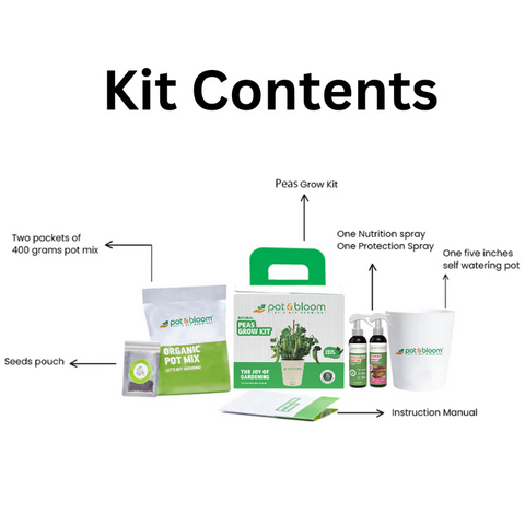Peas Grow Kit (Medium)