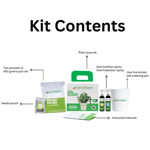 Peas Grow Kit (Medium)