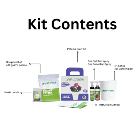 Petunia Grow Kit (medium)