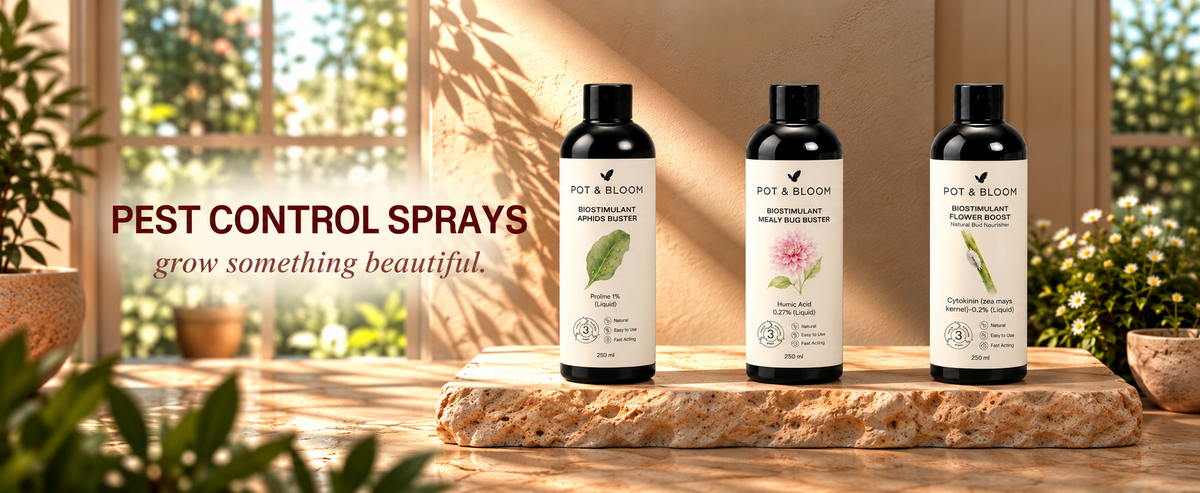Plant Care Sprays