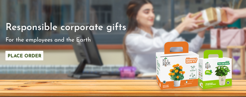 Plants for Corporate Gifts
