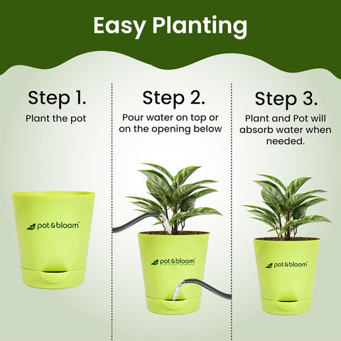 4-inch self-watering Pot - Set of 3
