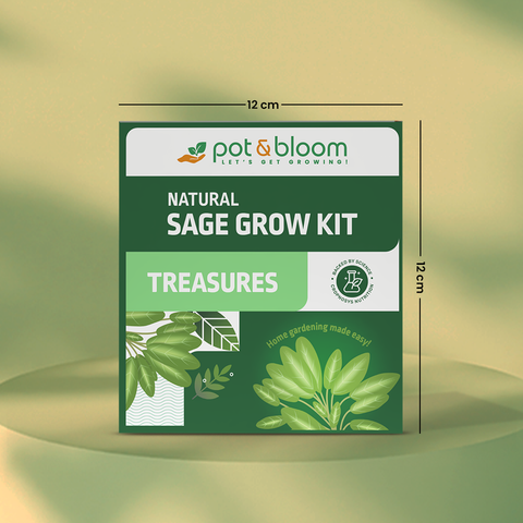 Treasures Sage Grow Kit