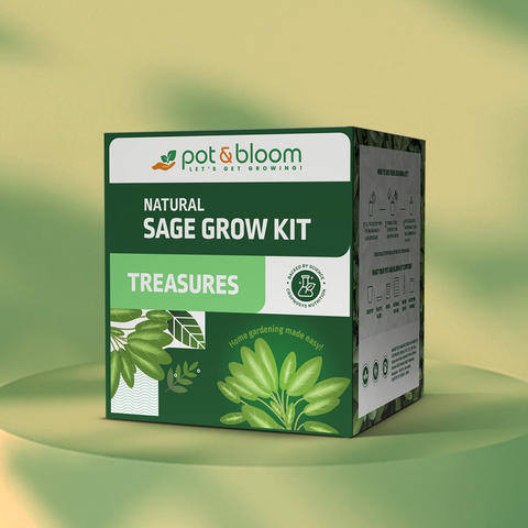 Treasures Sage Grow Kit