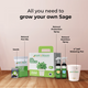 Sage Grow Kit