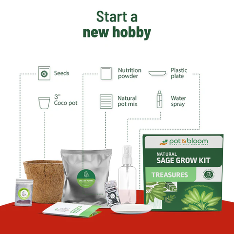 Treasures Sage Grow Kit