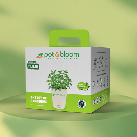 Tulsi Grow Kit