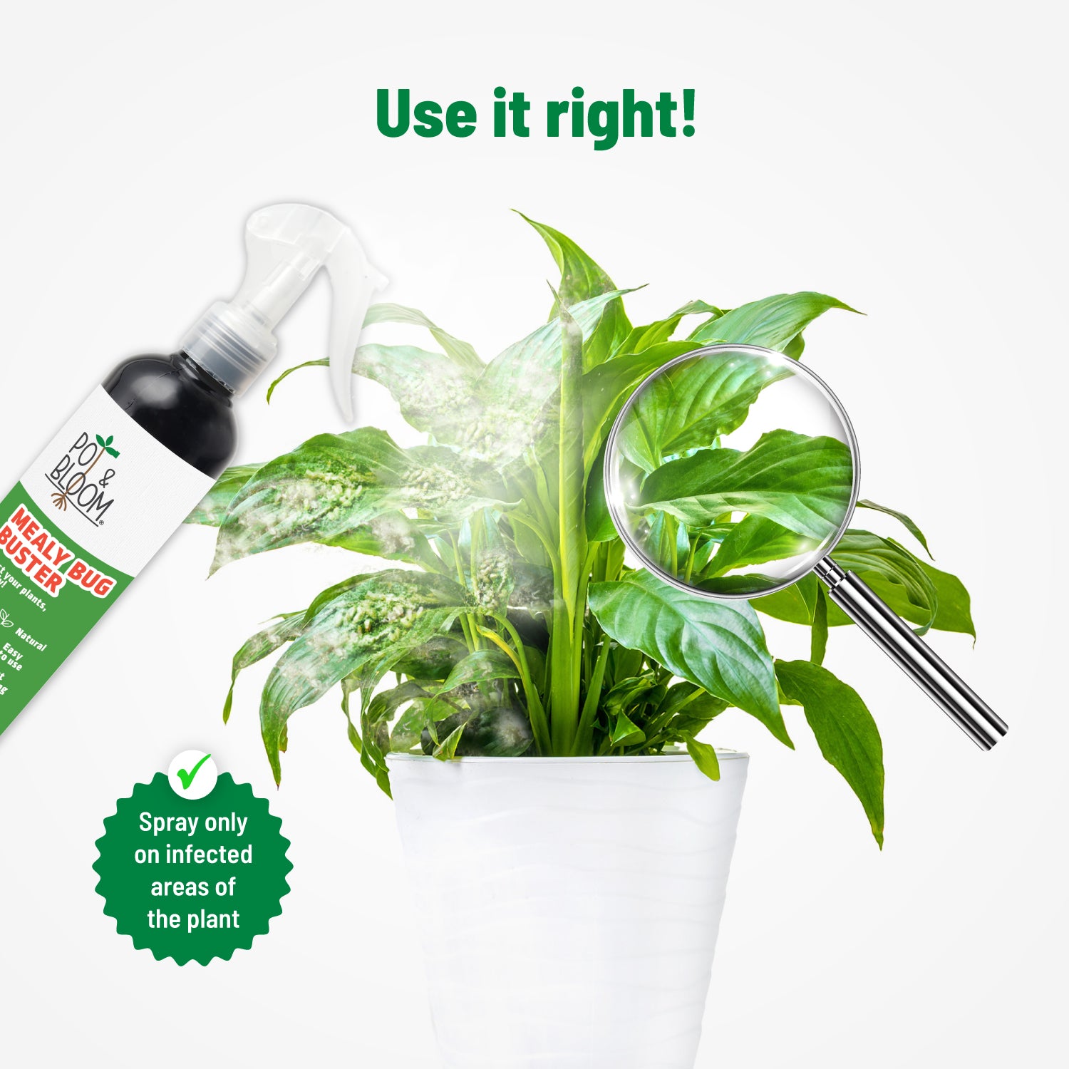 Pot and Bloom Mealy Bug Buster 250 ml, ready to use spray