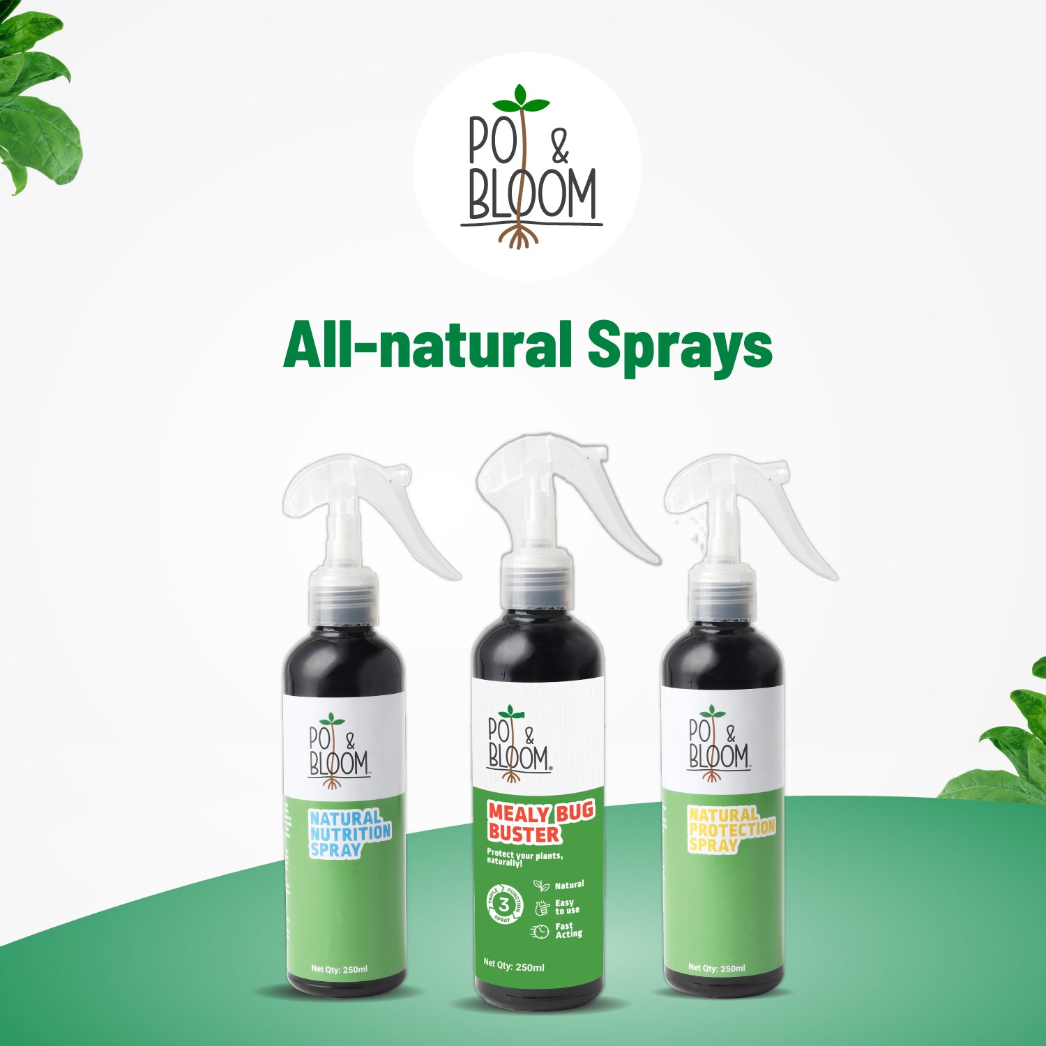 Pot and Bloom Mealy Bug Buster 250 ml, ready to use spray