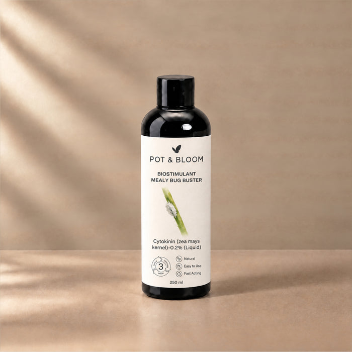 Biostimulant Mealy Bug Buster