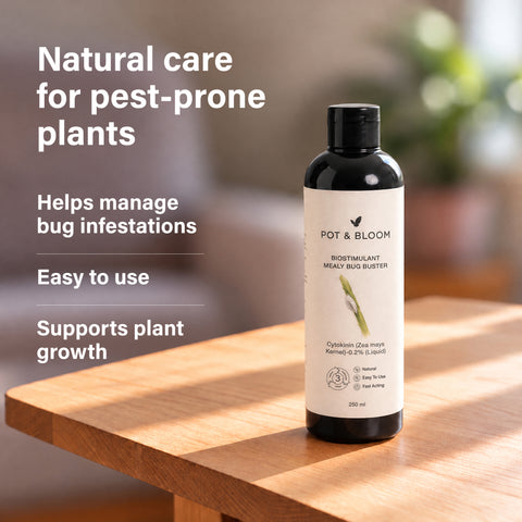 Biostimulant Mealy Bug Buster
