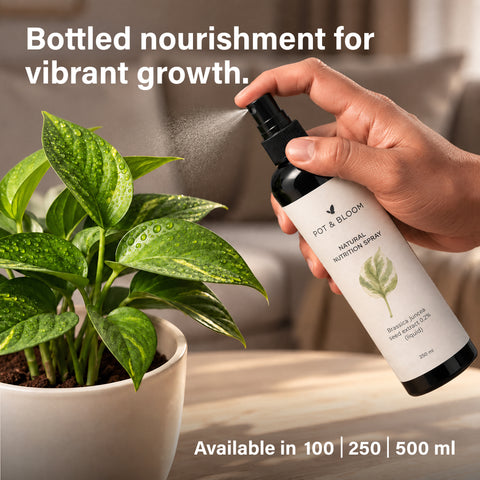 Biostimulant Natural Protection Spray