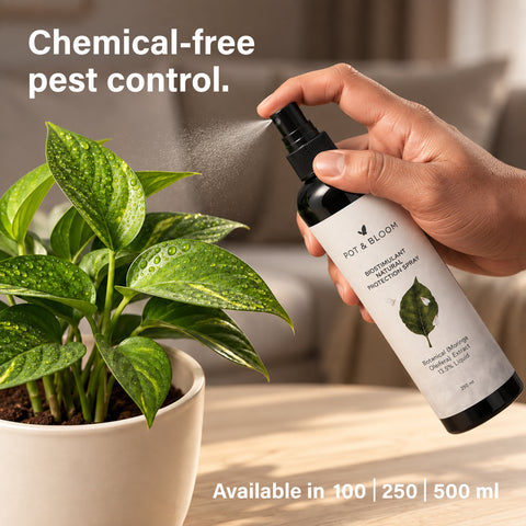 Biostimulant Natural Nutrient Spray