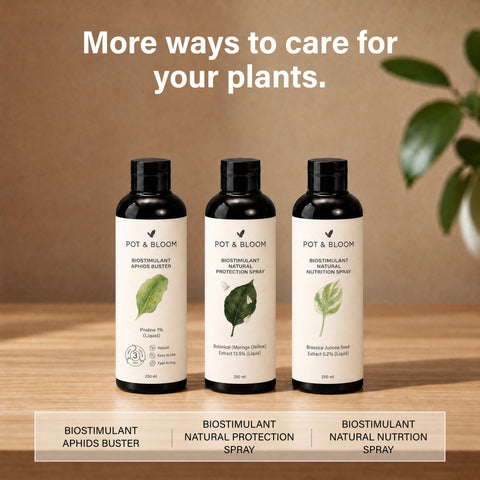 Biostimulant Flower Boost