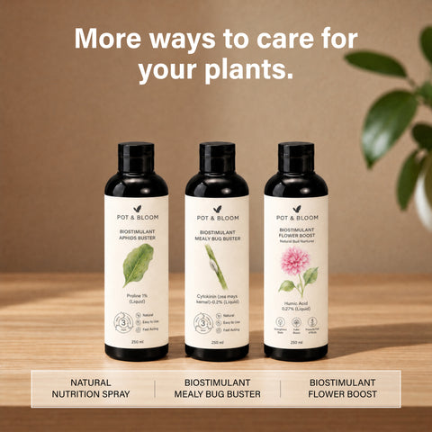 Biostimulant Natural Protection Spray