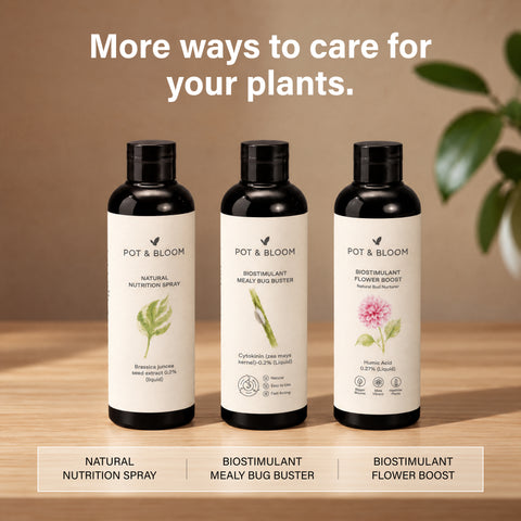 Biostimulant APHIDS Buster
