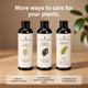 Biostimulant Mealy Bug Buster