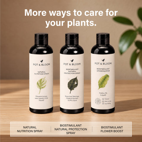 Biostimulant Mealy Bug Buster