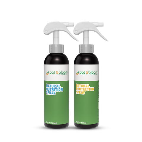 Sprays
