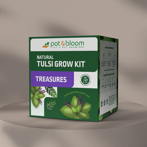 Treasures Tulsi Grow Kit