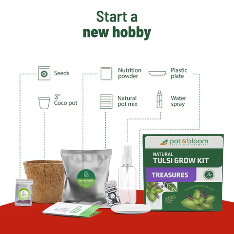 potting mix for tulsi Buy Treasures Tulsi Grow Kit Online at Best Price