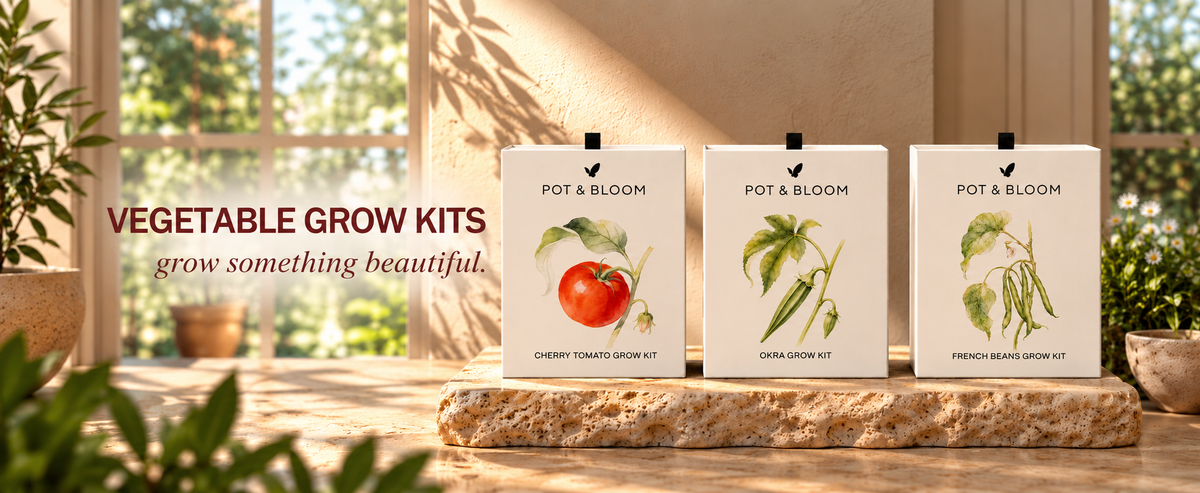 Vegetable Grow Kits