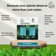 Plant Food Nutrition Sticks
