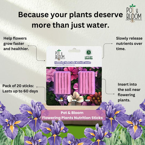 Flowering Plant Food Nutrition Sticks