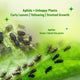Aphids Buster Spray 500 ml