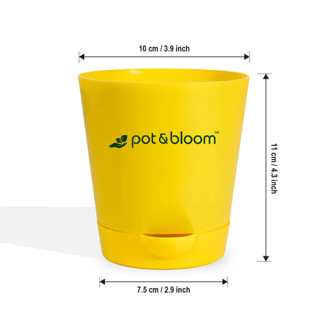 4-inch self-watering Pot - Set of 5