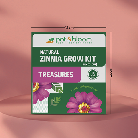Treasures Zinnia Grow Kit