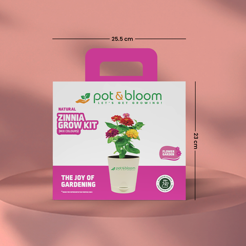 Zinnia Grow Kit  (Medium)