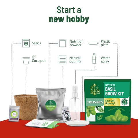 Treasures Basil Kit